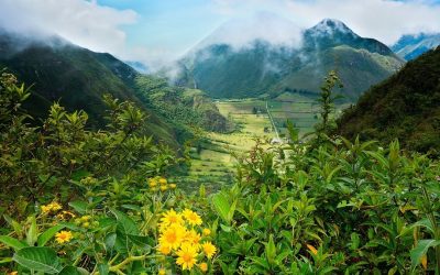 Mountains of Ecuador